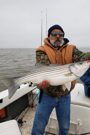 Man holding striped bass at Lake Texoma after trip with with Wylie Guide Services