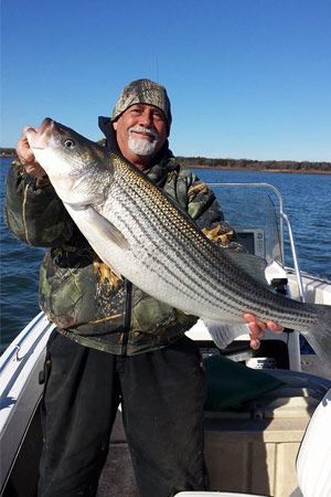 Randy Wylie showing off his large striper his guide service caught at Lake Texoma